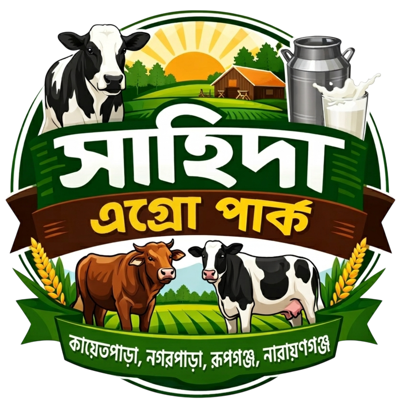 ফেসবুক পেইজ